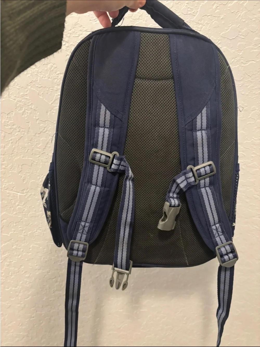 Pottery Barn boys backpack dinosaurs glow in the dark
